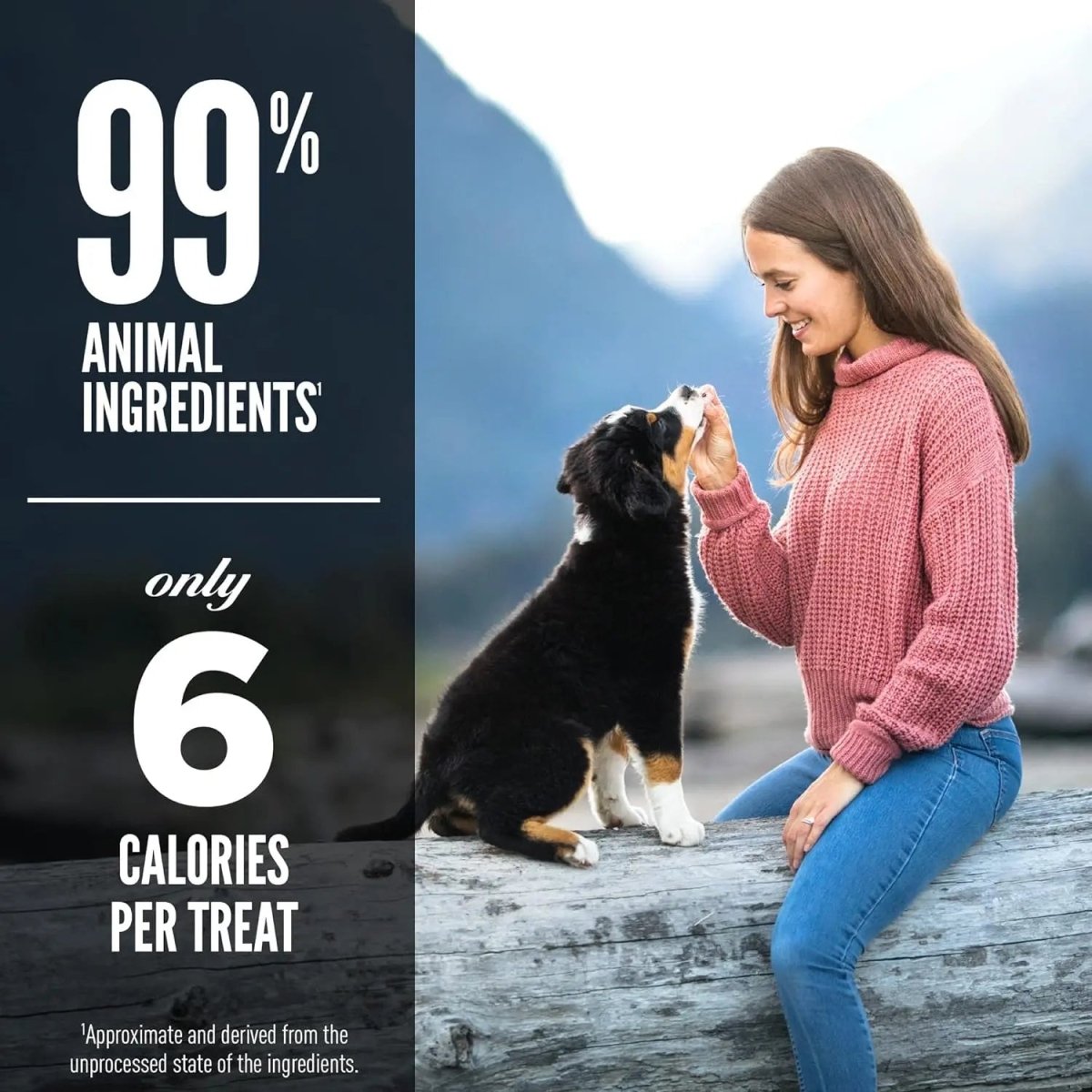 ORIJEN Free - Run Duck Grain - Free Freeze - Dried Dog Treats 3.25 oz - Talis Us