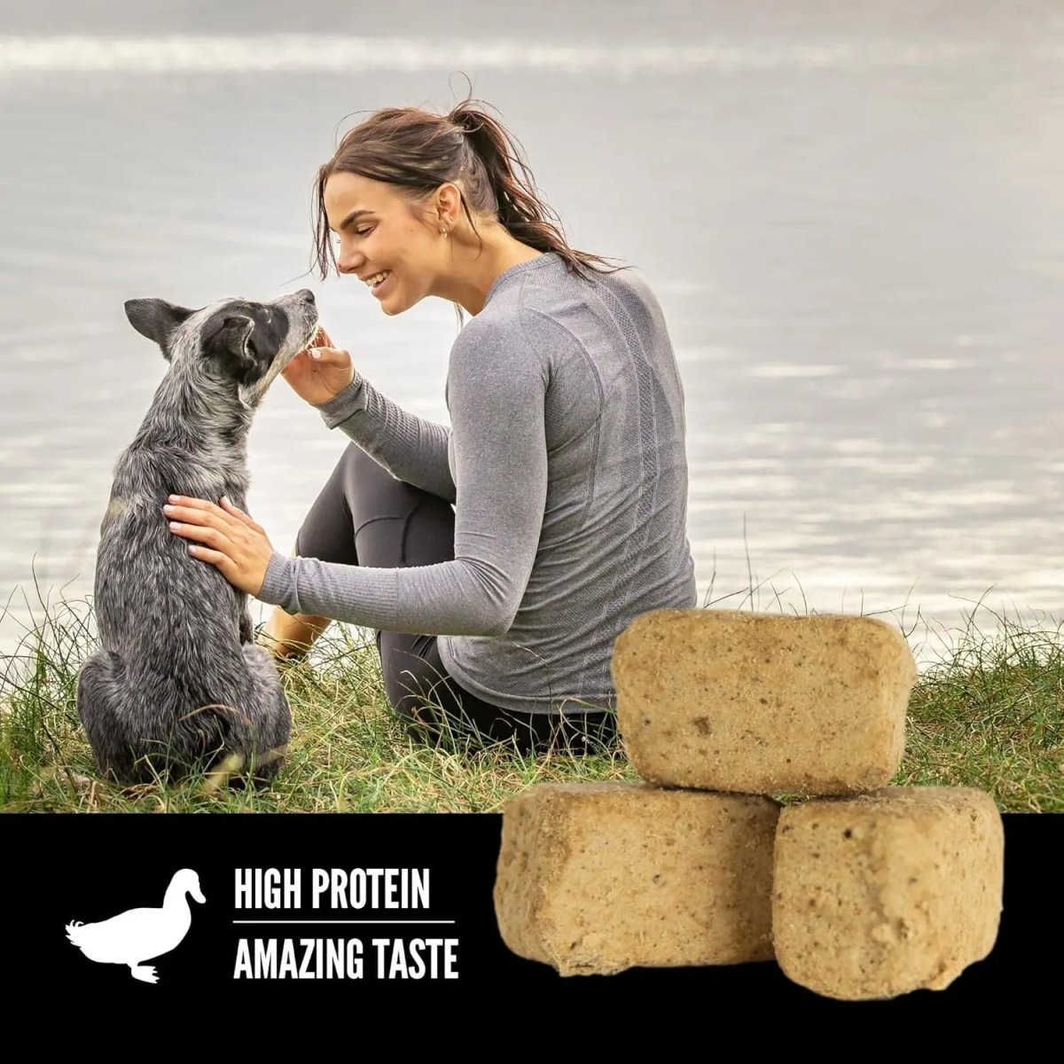 ORIJEN Free - Run Duck Grain - Free Freeze - Dried Dog Treats 3.25 oz - Talis Us