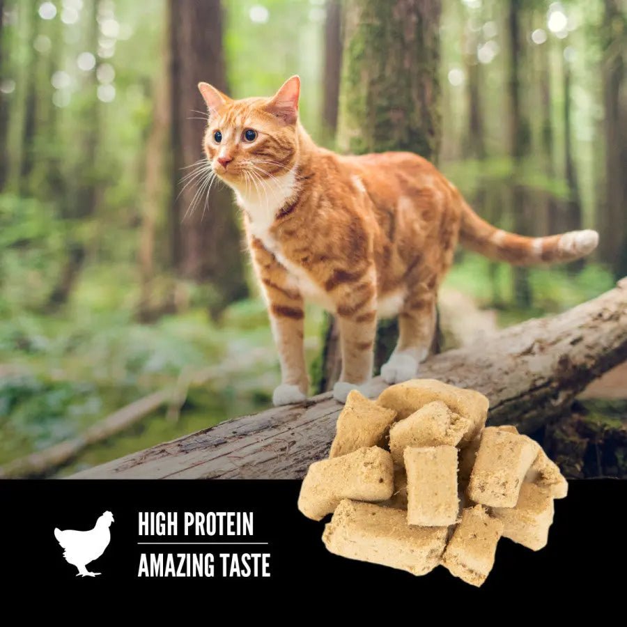 ORIJEN Original Grain - Free Freeze - Dried Cat Treats 1.25 oz - Talis Us