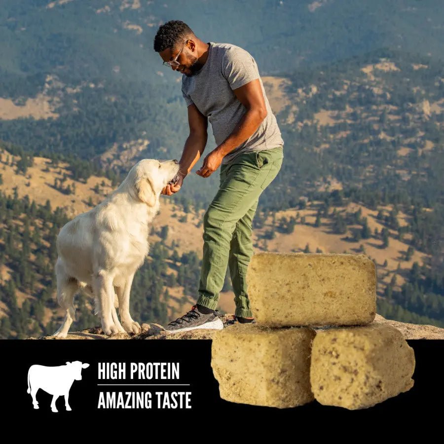 ORIJEN Original Grain - Free Freeze - Dried Dog Treats - Talis Us