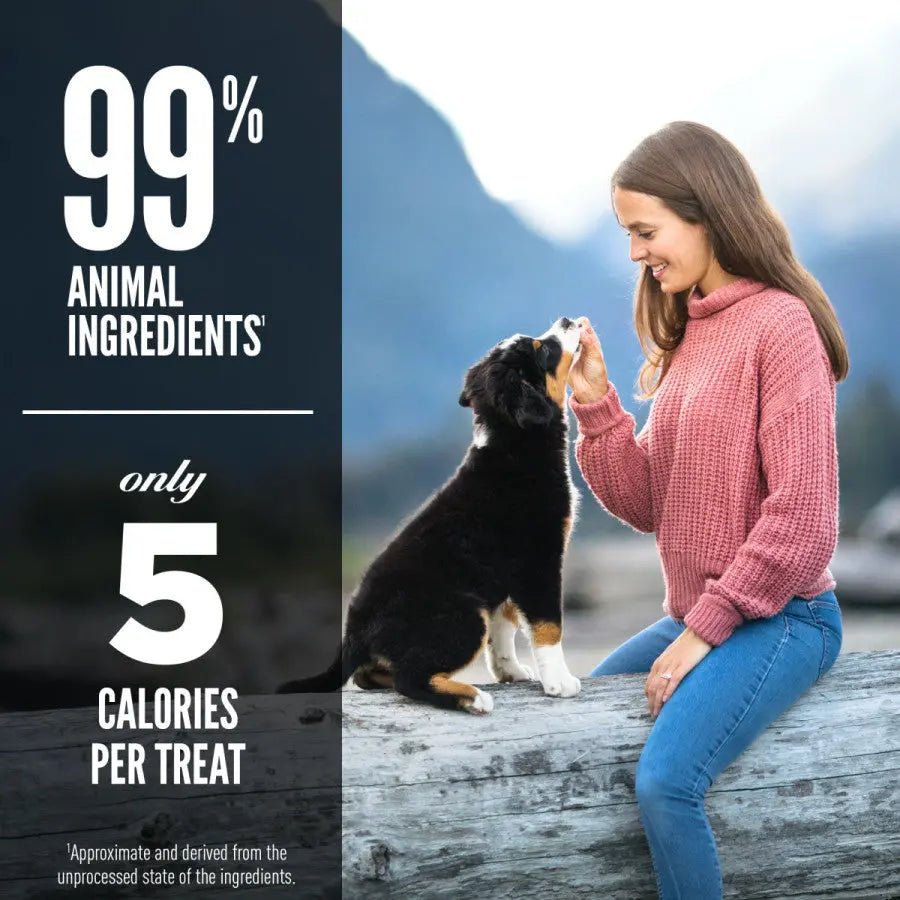 ORIJEN Ranch - Raised Beef Grain - Free Freeze - Dried Dog Treats 3.25 oz - Talis Us