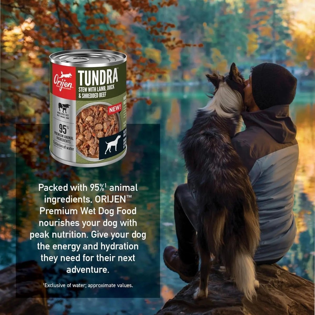 ORIJEN Real Meat Shreds Tundra Stew Grain - Free Wet Dog Food - Talis Us