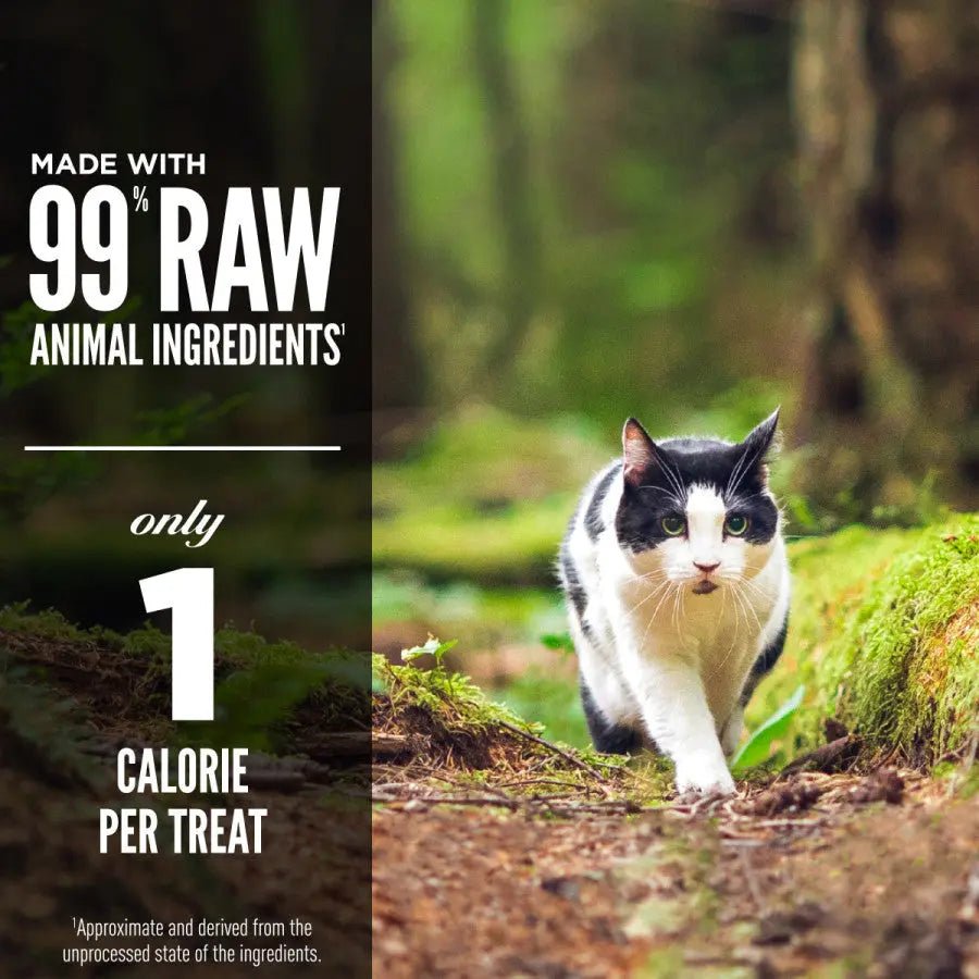 ORIJEN Regional Red Grain - Free Freeze - Dried Cat Treats 1.25 oz - Talis Us