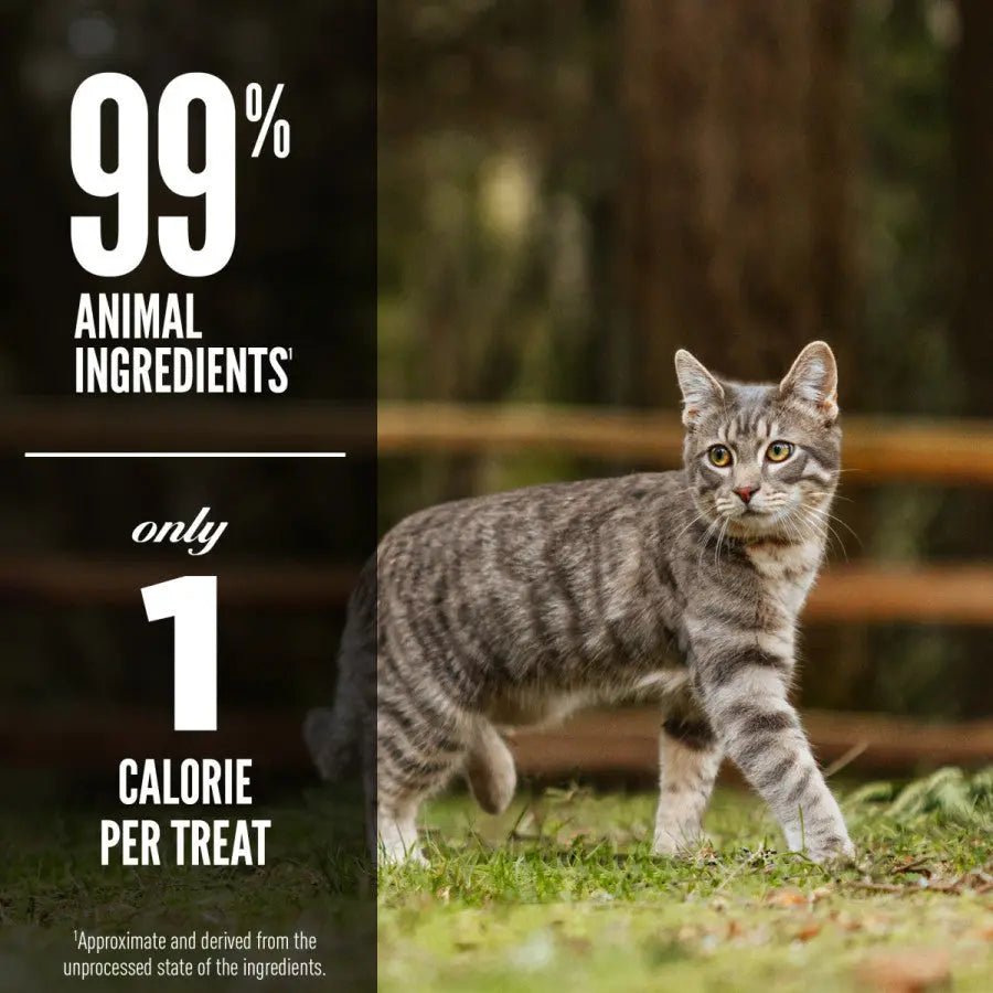 ORIJEN Six Fish Grain - Free Freeze - Dried Cat Treats 1.25 oz - Talis Us