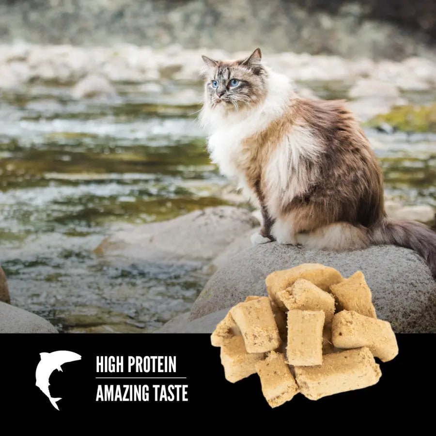 ORIJEN Six Fish Grain - Free Freeze - Dried Cat Treats 1.25 oz - Talis Us
