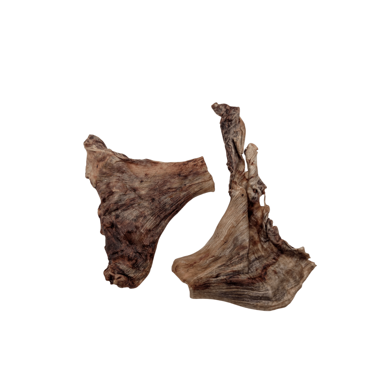 Savannah Pet Food ostrich skin dog chew treats, ideal for strong chewers and promoting dental health