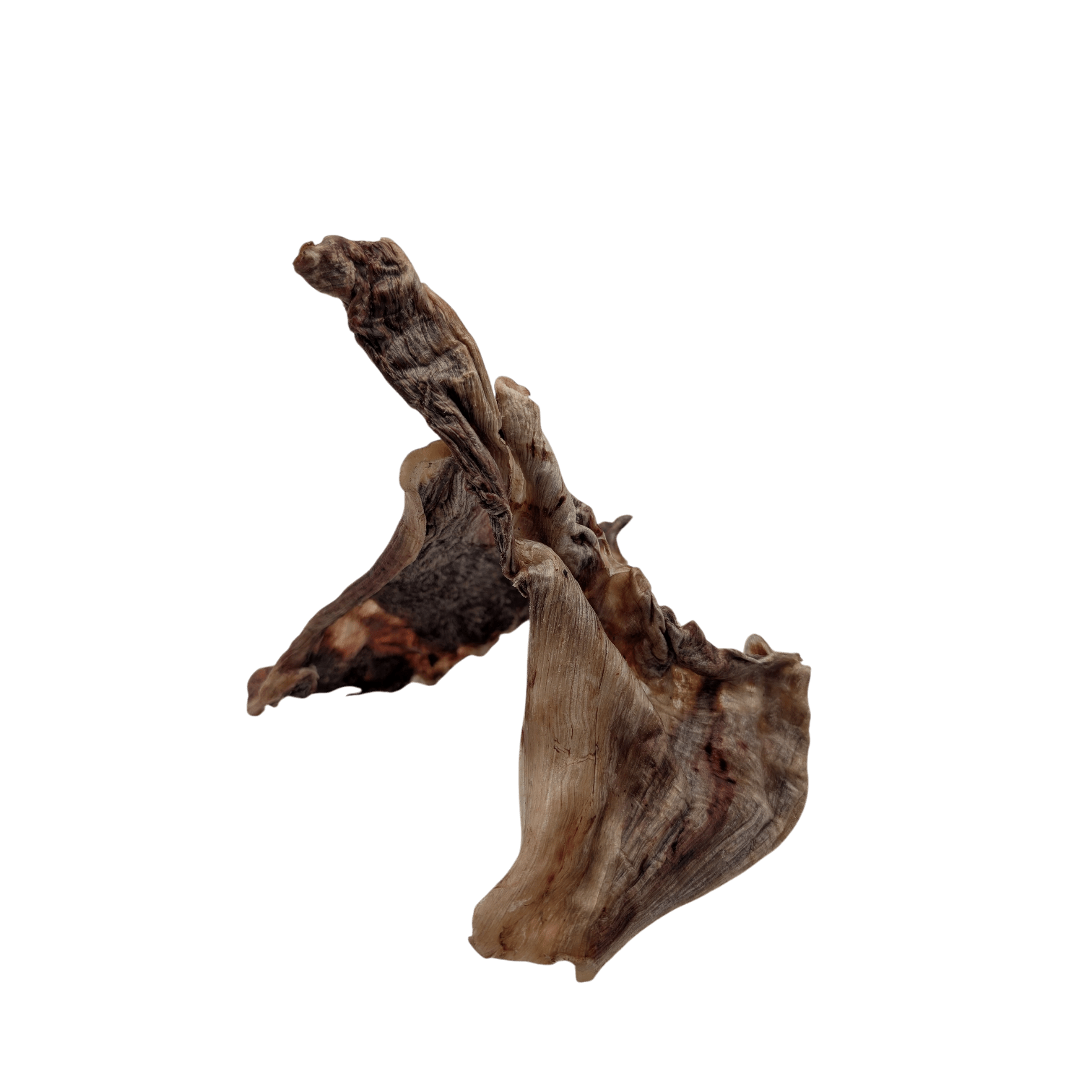 Savannah Pet Food Ostrich Skin Dog Chew for Healthy and Long-Lasting Chewing Enjoyment