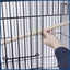 PENN - PLAX Conure & Small Parrot Starter Kit with Birdcage - Talis Us