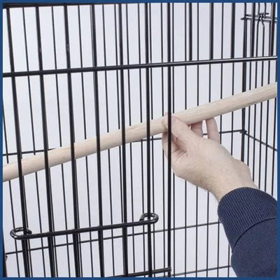 PENN - PLAX Conure & Small Parrot Starter Kit with Birdcage - Talis Us