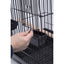 PENN - PLAX Conure & Small Parrot Starter Kit with Birdcage - Talis Us