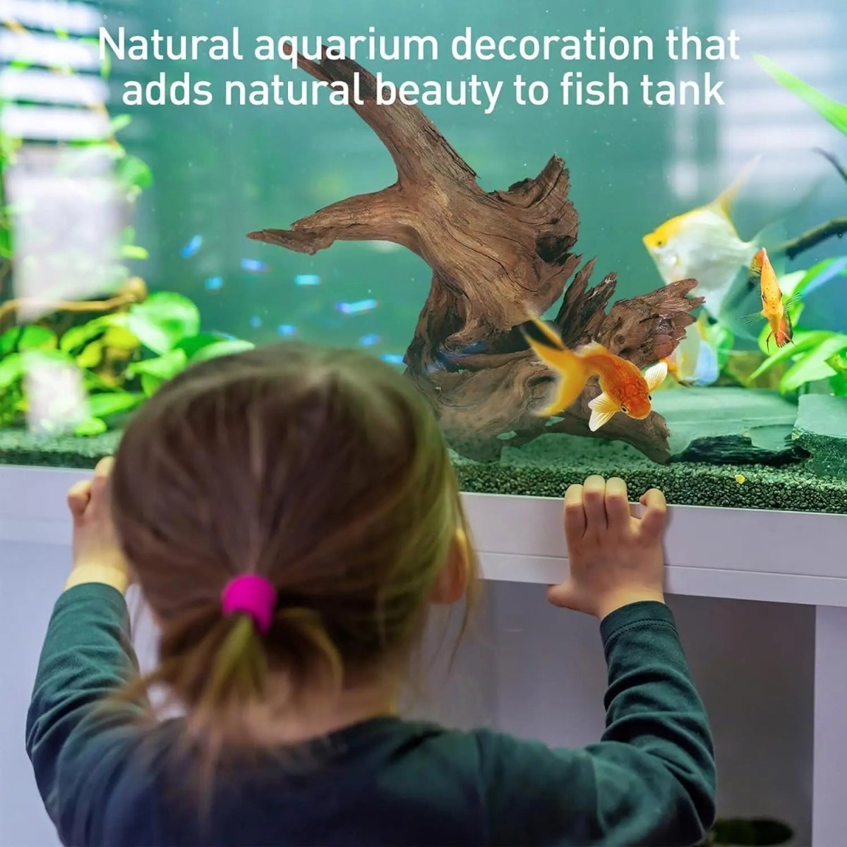 Penn Plax Natural Driftwood for Aquarium Decor Branch Decorations for Reptile Tank - Talis Us