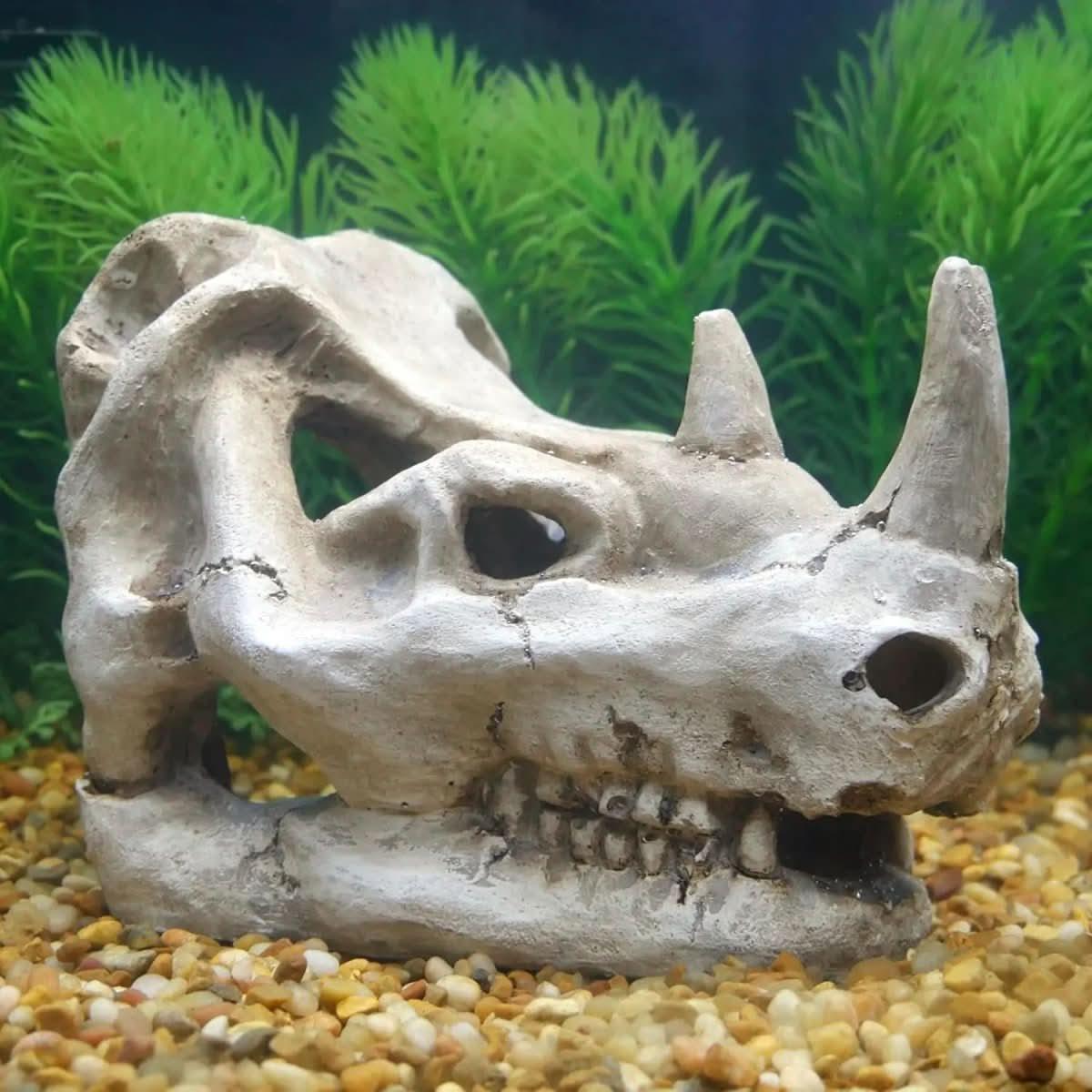 Penn - Plax Rhino Skull Reptile Enclosure Decor - Talis Us