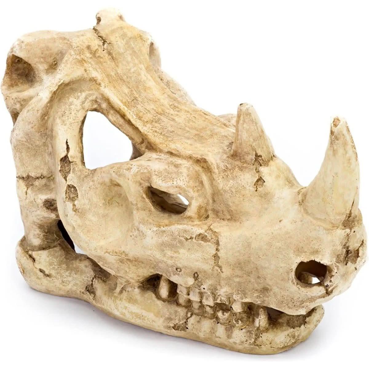 Penn - Plax Rhino Skull Reptile Enclosure Decor - Talis Us