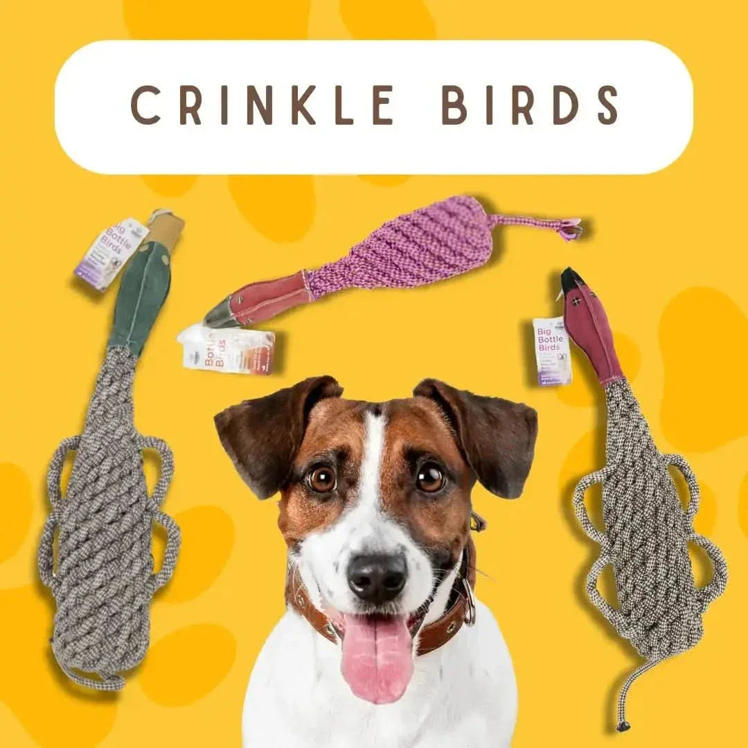 Pet - Safe Bird Toys for Dogs Made from Recycled Materials - Talis Us