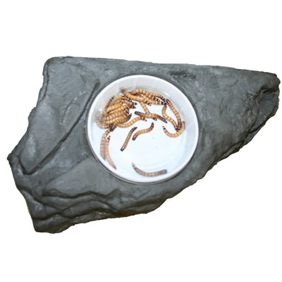Pet - Tekk Worm Feeder Ledge for Reptiles Habitat Accessory - Talis Us