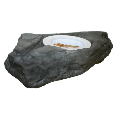 Pet - Tekk Worm Feeder Ledge for Reptiles Habitat Accessory - Talis Us