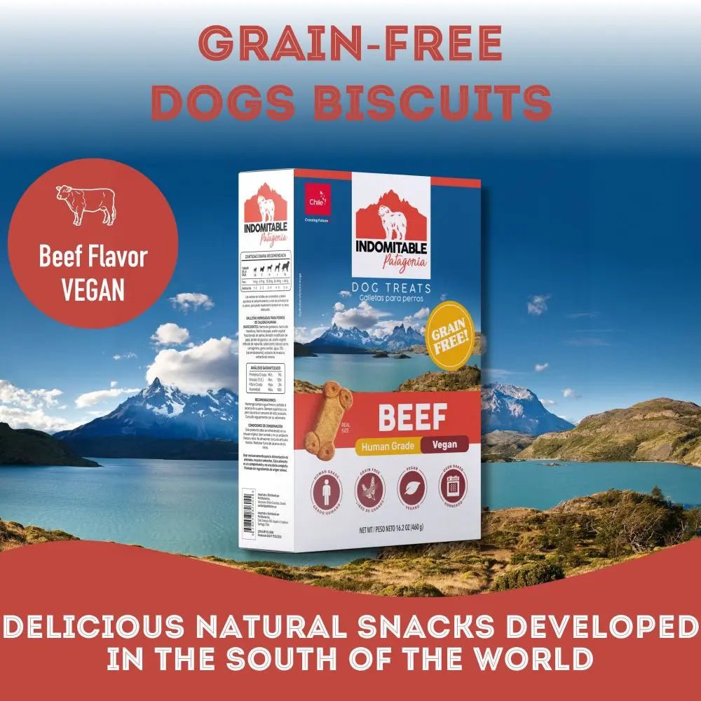 Pet Treatery Indomitable Beef Grain - Free Everyday Dog Biscuits 16.2 oz./460 gm - Talis Us