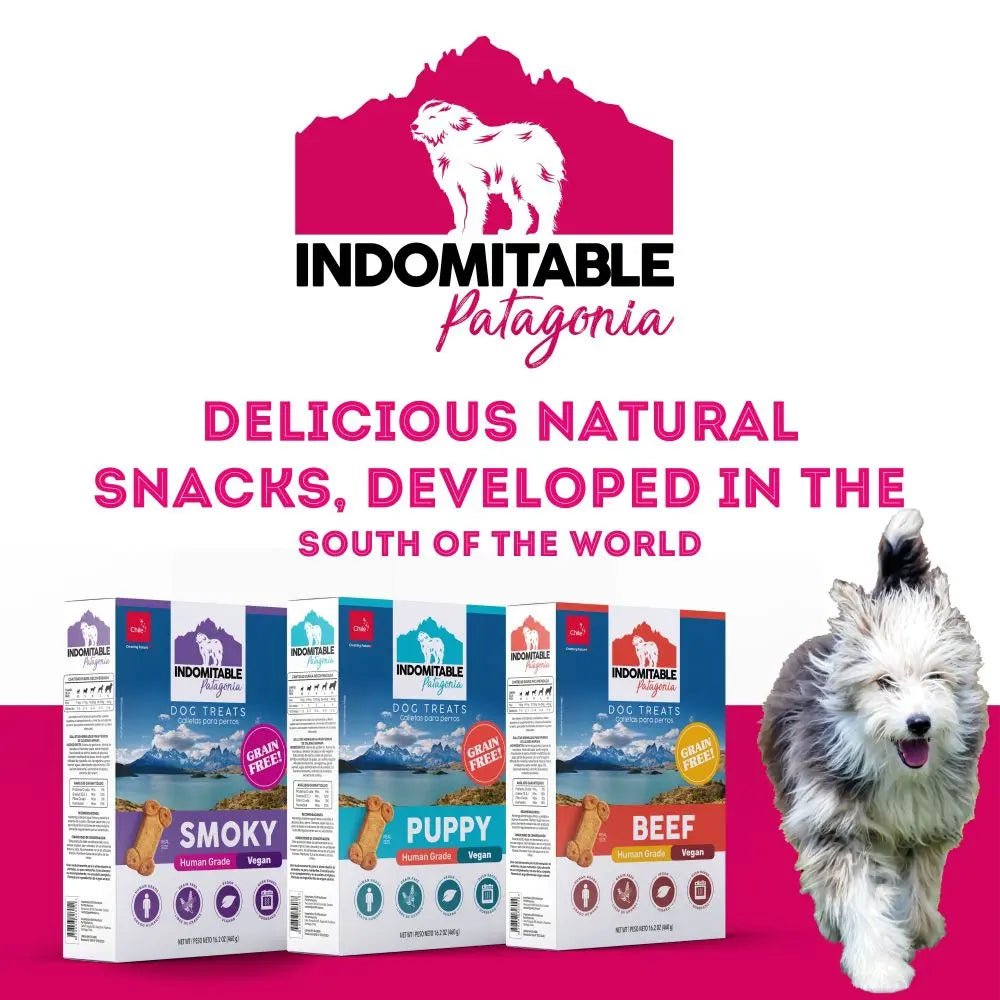 Pet Treatery Indomitable Puppy Grain Free Everyday Biscuits for Dogs 16.2 oz./460 gm - Talis Us
