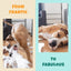 PETIPET Calming Bites with Melatonin + Chamomile Apple & Carrot Flavored Soft Chew Calming Supplement for Dogs 7oz - Talis Us