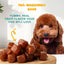 PETIPET Pumpkin Fruit + Veggie Bites Gluten - Free Adult Soft & Chewy Dog Treats 5oz - Talis Us