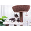 Petpals Quartz 5 Level Cat Tree with 4 Scratching Posts and Handwoven Basket - Talis Us