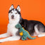 PetShop by Fringe Studio Candy Rex Plush Dog Toy - Talis Us
