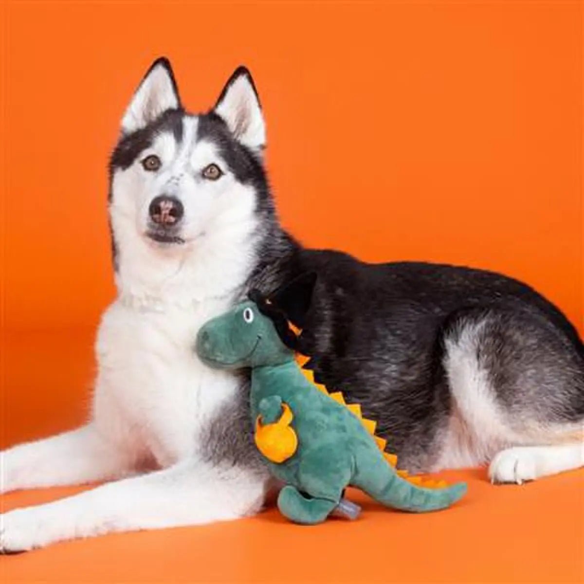 PetShop by Fringe Studio Candy Rex Plush Dog Toy - Talis Us