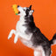 PetShop by Fringe Studio Go Big or Gourd Home Dog Chew Toy - Talis Us