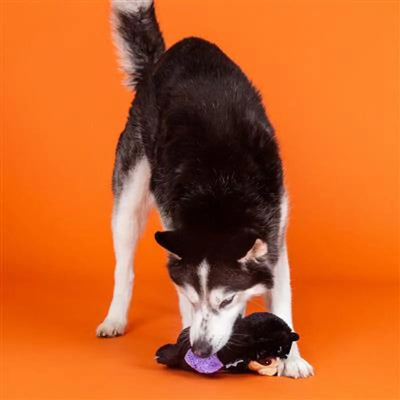 PetShop by Fringe Studio It Be Like Bat Plush Dog Toy - Talis Us
