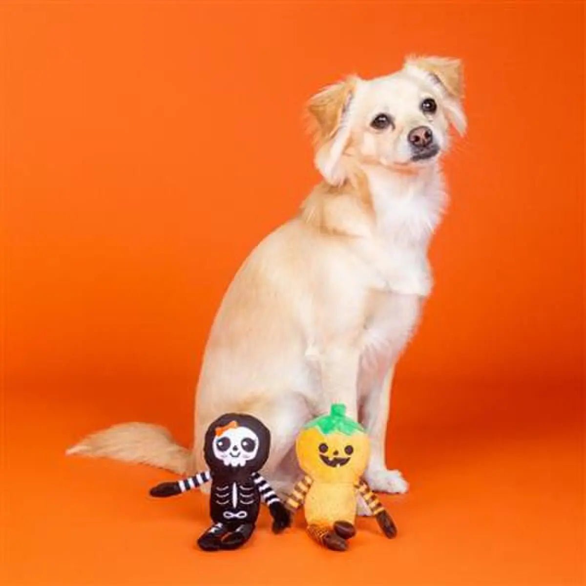 PetShop by Fringe Studio Oh My Gourd Plush Dog Toy - Talis Us