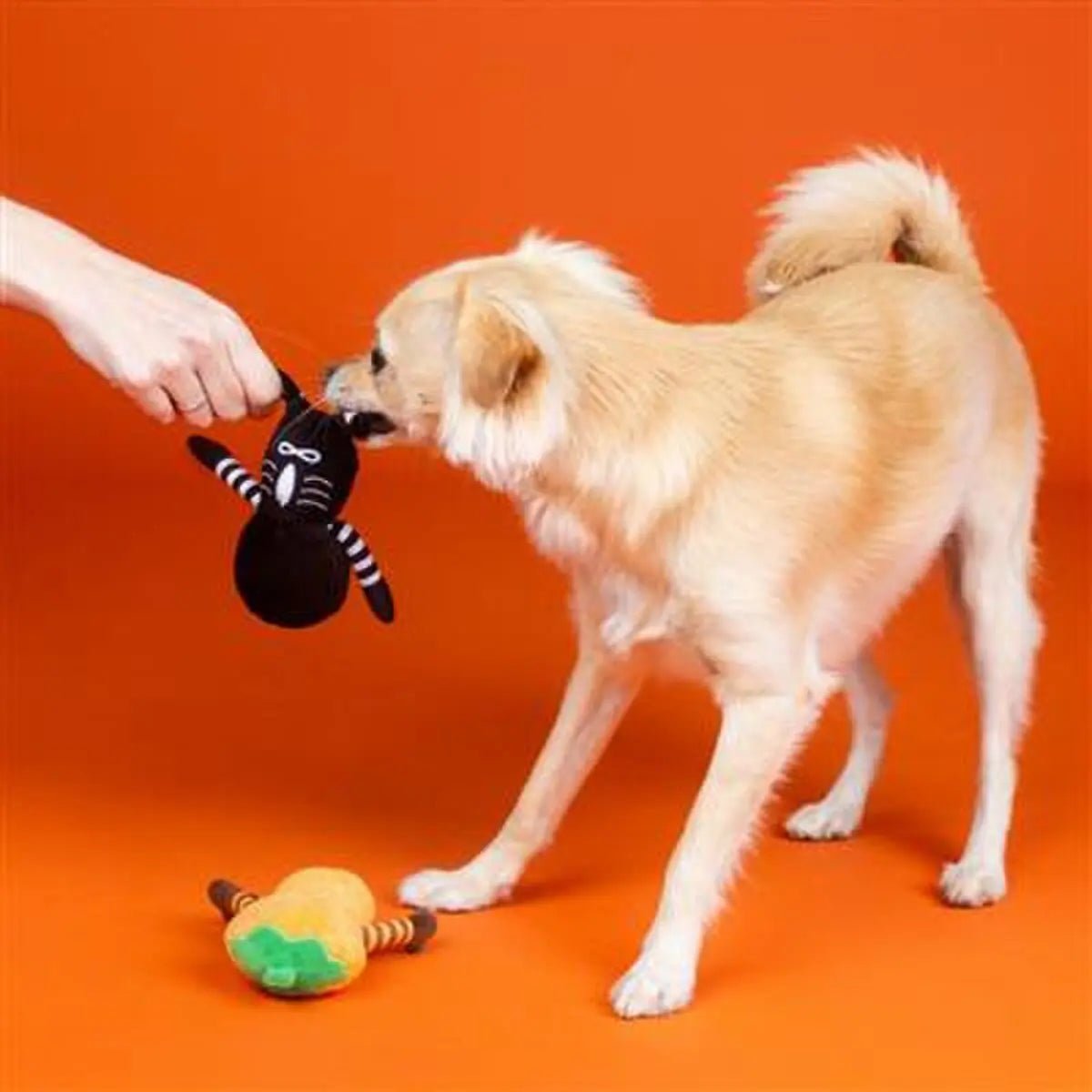 PetShop by Fringe Studio Oh My Gourd Plush Dog Toy - Talis Us