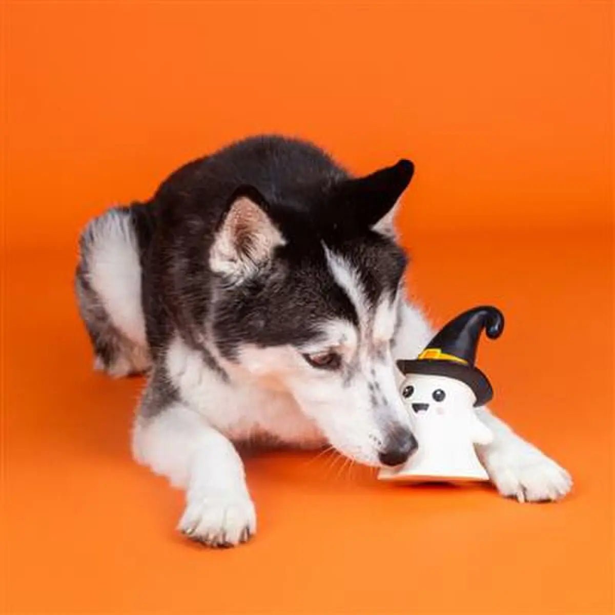 PetShop by Fringe Studio One Wicked Ghost Dog Chew Toy - Talis Us