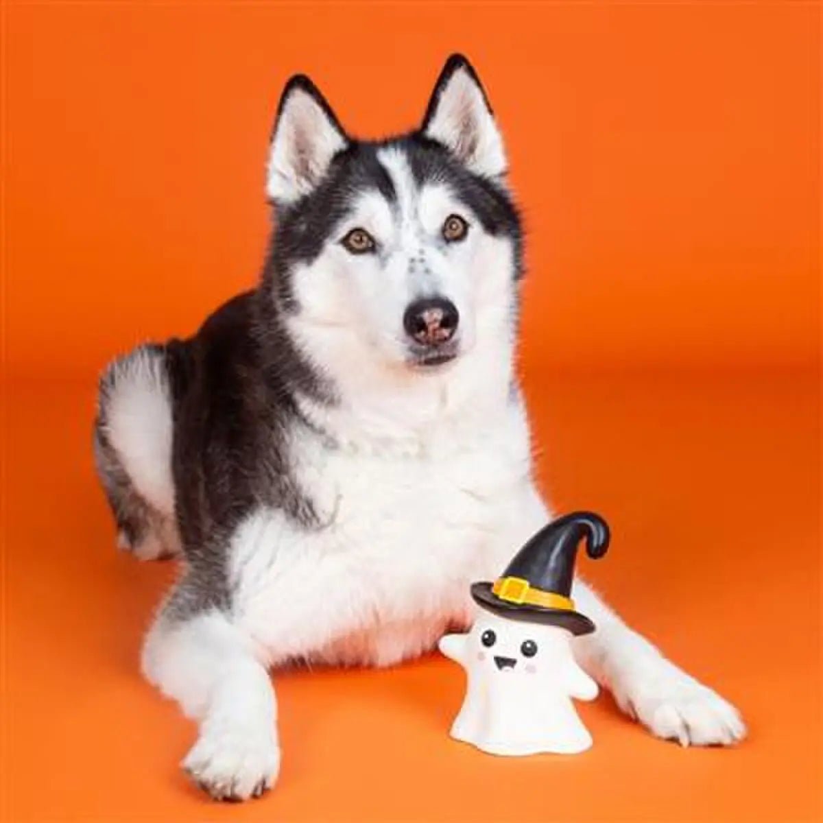 PetShop by Fringe Studio One Wicked Ghost Dog Chew Toy - Talis Us