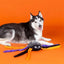PetShop by Fringe Studio Trappin' Flies Plush Dog Toy Large - Talis Us