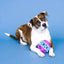 PetShop by Fringe This is How I Roll Rubber Dog Toy - Talis Us