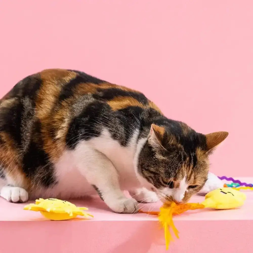 PetShop by Fringe Studio Purr - fect Weather Cat Toy Set 3pc - Talis Us