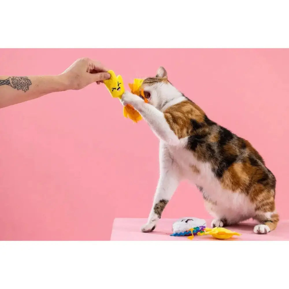 PetShop by Fringe Studio Purr - fect Weather Cat Toy Set 3pc - Talis Us