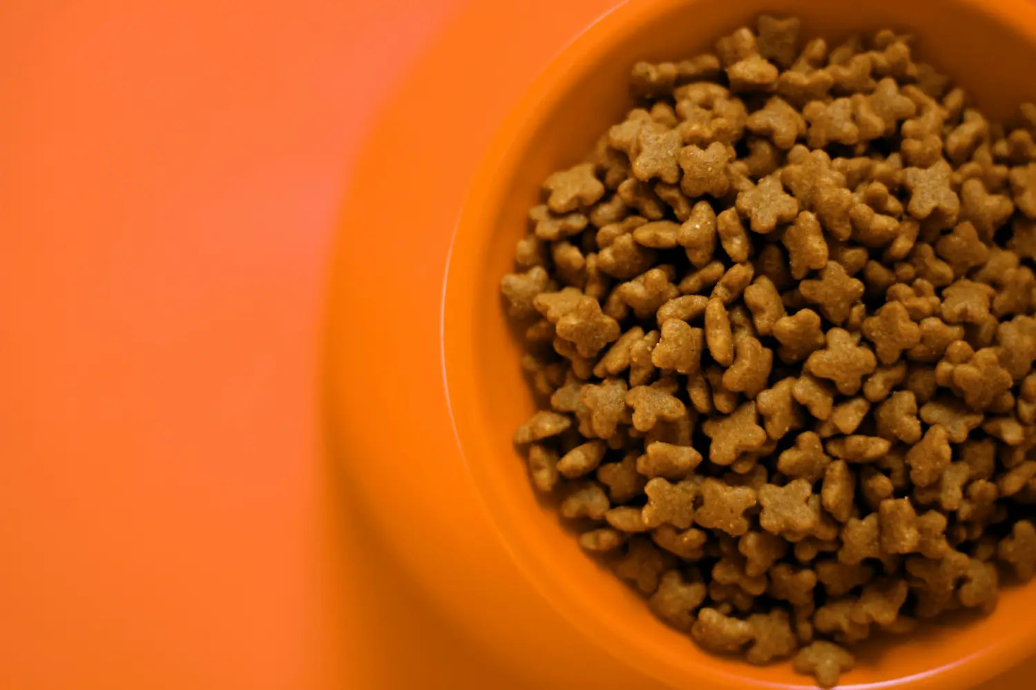 Proper storage of freeze-dried dog food