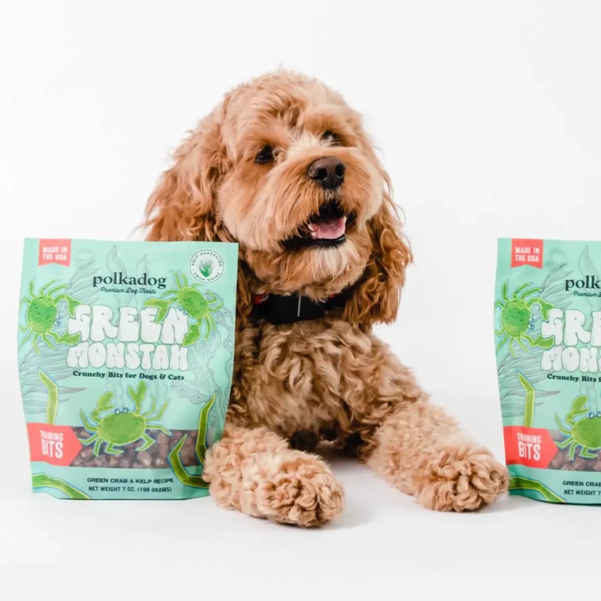 Polkadog Green Monstah Training Bits Crunchy Dog and Cat Treats - Talis Us