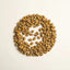 Polkadog Wonder Nuggets Training Bits Sweet Potato & Beef Liver Soft & Chewy Dog Treats 10oz - Talis Us