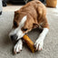 Poochie Butter Beef Femur Bone with Real Peanut Butter - Talis Us