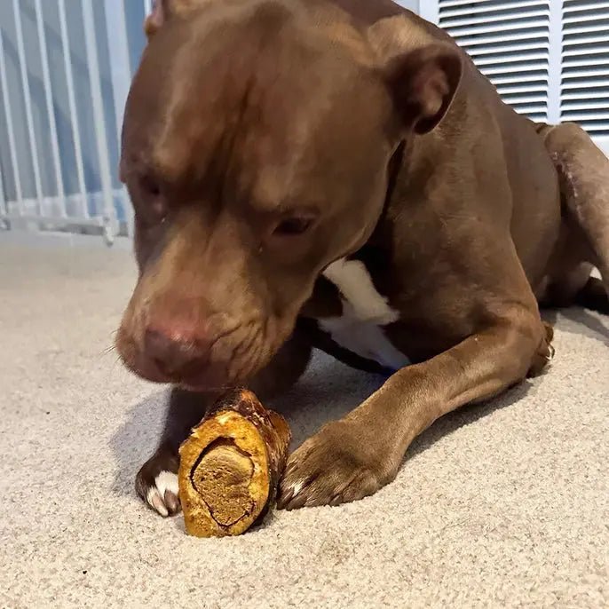 Poochie Butter Beef Femur Bone with Real Peanut Butter - Talis Us