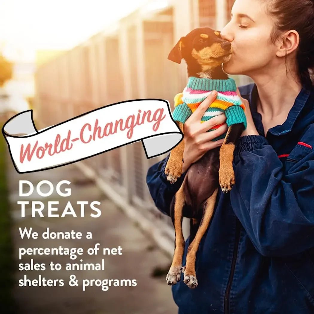 Portland Pet Food Company Bacon Biscuits Grain - Free & Gluten - Free Dog Treats 5oz - Talis Us