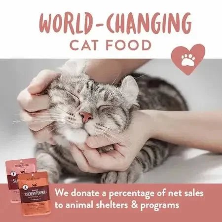 Portland Pet Food Company Luke’s Chicken N’ Pumpkin Cat Food - Talis Us