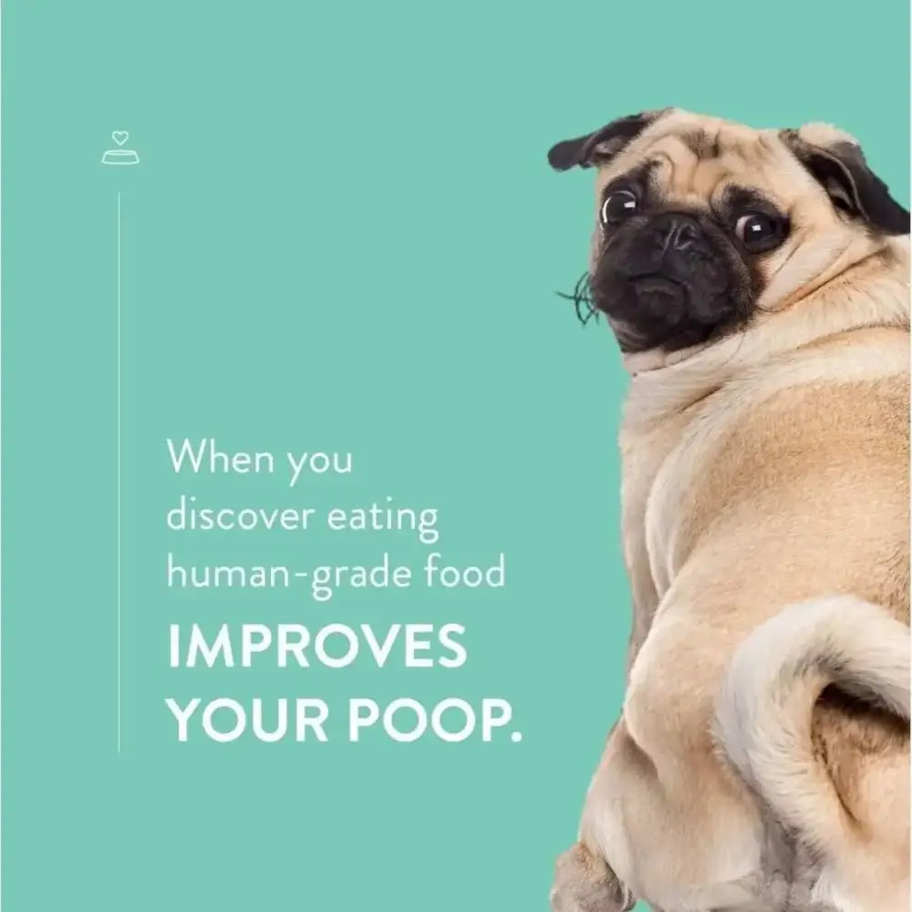 Portland Pet Food Company Pumpkin Brew Biscuits Dog Treats 5oz - Talis Us