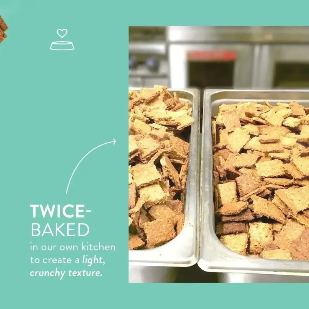 Portland Pet Food Company Pumpkin Brew Biscuits Dog Treats 5oz - Talis Us