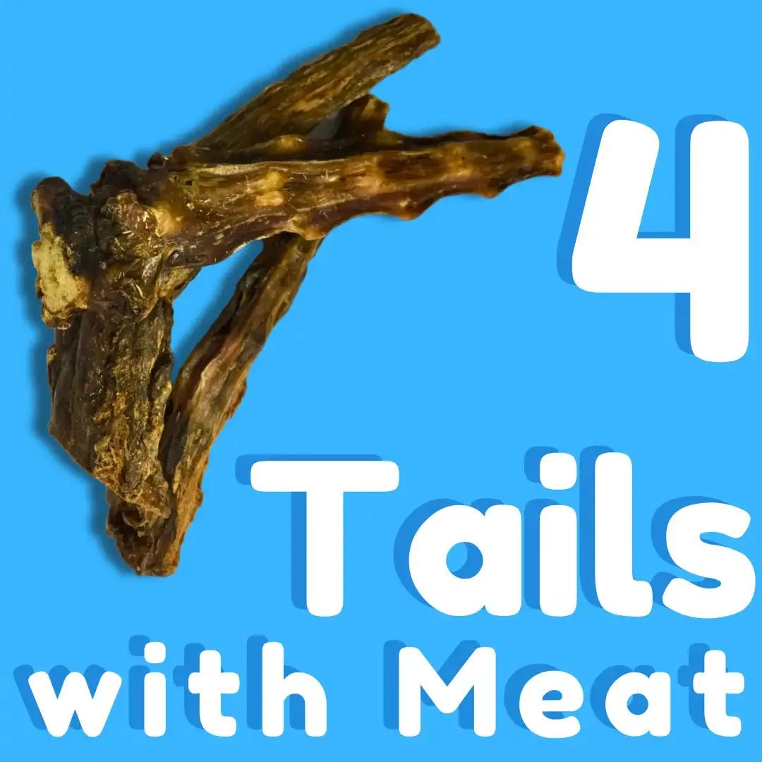 Premium All Natural Water Buffalo Chews for Dogs - Talis Us