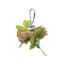 Prevue Pet Products Bird Toys for Parrots Parakeets, Conures, Love Birds, Cockatiels, Finches - Talis Us