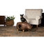 Prevue Pet Products Rhinoceros Ottoman Prevue Pet