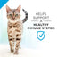 Pro Plan Weight Management Turkey & Rice Entree Adult Wet Cat Food 24 / 3 oz - Talis Us